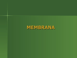 MEMBRANA 