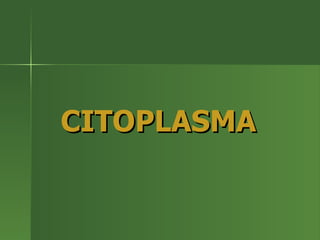 CITOPLASMA 