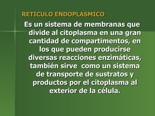 Es un sistema de membranas que divide al citoplasma en una gran cantidad de compartimentos, en los que pueden producirse diversas reacciones enzimáticas, también sirve  como un sistema de transporte de sustratos y productos por el citoplasma al exterior de la célula. RETICULO ENDOPLASMICO 