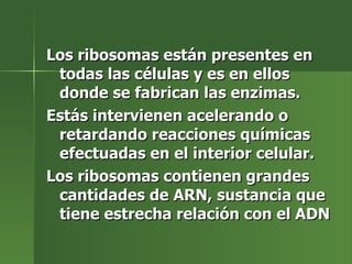 Los ribosomas están presentes en todas las células y es en ellos donde se fabrican las enzimas. Estás intervienen acelerando o retardando reacciones químicas efectuadas en el interior celular. Los ribosomas contienen grandes cantidades de ARN, sustancia que tiene estrecha relación con el ADN 