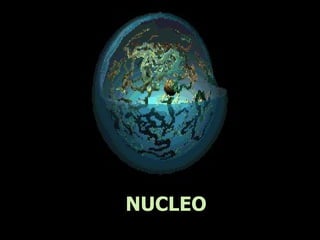 NUCLEO 