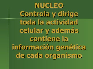 NUCLEO Controla y dirige toda la actividad celular y además contiene la información genética de cada organismo 