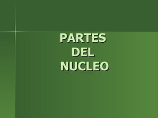 PARTES  DEL  NUCLEO 