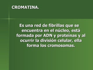 CROMATINA. Es una red de fibrillas que se encuentra en el núcleo, está formada por ADN y proteínas y al ocurrir la división celular, ella forma los cromosomas. 