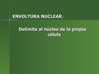 ENVOLTURA NUCLEAR. Delimita al núcleo de la propia célula 