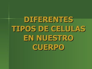 DIFERENTES TIPOS DE CELULAS EN NUESTRO CUERPO 