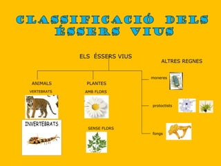 ELS  ÉSSERS VIUS  ANIMALS PLANTES VERTEBRATS AMB FLORS  ALTRES REGNES moneres protoctists  fongs SENSE FLORS 