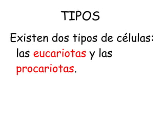 TIPOS  Existen dos tipos de células: las  eucariotas  y las  procariotas . 
