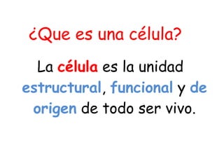¿Que es una célula?  La  célula  es la unidad  estructural ,  funcional  y  de origen   de todo ser vivo. 