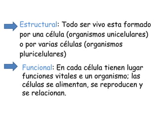 Estructural : Todo ser vivo esta formado por una célula (organismos unicelulares) o por varias células (organismos pluricelulares) Funcional : En cada célula tienen lugar funciones vitales e un organismo; las células se alimentan, se reproducen y se relacionan. 