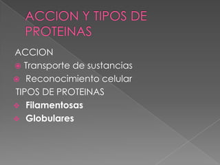 ACCION
 Transporte de sustancias
 Reconocimiento celular
TIPOS DE PROTEINAS
 Filamentosas
 Globulares
 