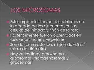  Estos organelos fueron descubiertos en
  la década de los cincuenta ,en las
  células del hígado y riñón de la rata
 Posteriormente fueron observados en
  células animales y vegetales
 Son de forma esférica, miden de 0,5 a 1
  micra de diámetro
 Hay varios tipos: peroxisomas,
  glioxisomas, hidrogenosomas y
  glicosomas
 