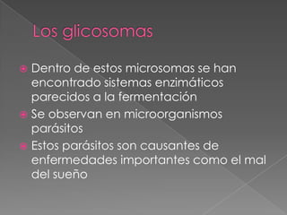  Dentro de estos microsomas se han
  encontrado sistemas enzimáticos
  parecidos a la fermentación
 Se observan en microorganismos
  parásitos
 Estos parásitos son causantes de
  enfermedades importantes como el mal
  del sueño
 