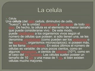    Célula
Una célula (del latín cellula, diminutivo de cella,
 "hueco")1 es la unidad morfológica y funcional de todo ser
 vivo. De hecho, la célula es el elemento de menor tamaño
 que puede considerarse vivo.2 De este modo,
 puede clasificarse a los organismos vivos según el
 número de células que posean: si sólo tienen una, se les
 denomina unicelulares (como pueden ser los protozoos o
 las bacterias, organismos microscópicos); si poseen más,
 se les llama pluricelulares. En estos últimos el número de
 células es variable: de unos pocos cientos, como en
 algunos nematodos, a cientos de billones (1014), como en
 el caso del ser humano. Las células suelen poseer un
 tamaño de 10 µm y una masa de 1 ng, si bien existen
 células mucho mayores.
 
