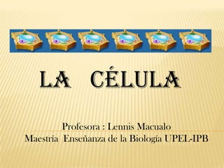 LA CÉLULA
         Profesora : Lennis Macualo
Maestría Enseñanza de la Biología UPEL-IPB
 