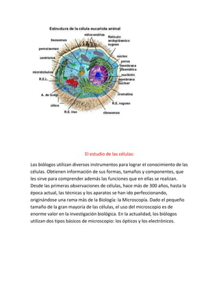 El estudio de las células:

Los biólogos utilizan diversos instrumentos para lograr el conocimiento de las
células. Obtienen información de sus formas, tamaños y componentes, que
les sirve para comprender además las funciones que en ellas se realizan.
Desde las primeras observaciones de células, hace más de 300 años, hasta la
época actual, las técnicas y los aparatos se han ido perfeccionando,
originándose una rama más de la Biología: la Microscopía. Dado el pequeño
tamaño de la gran mayoría de las células, el uso del microscopio es de
enorme valor en la investigación biológica. En la actualidad, los biólogos
utilizan dos tipos básicos de microscopio: los ópticos y los electrónicos.
 
