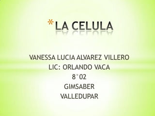*

VANESSA LUCIA ALVAREZ VILLERO
     LIC: ORLANDO VACA
            8°02
          GIMSABER
         VALLEDUPAR
 