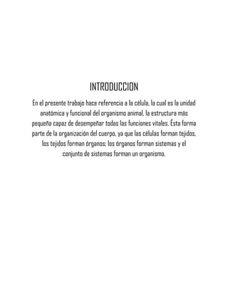 INTRODUCCION
En el presente trabajo hace referencia a la célula, la cual es la unidad
   anatómica y funcional del organismo animal, la estructura más
pequeña capaz de desempeñar todas las funciones vitales. Ésta forma
parte de la organización del cuerpo, ya que las células forman tejidos,
    los tejidos forman órganos; los órganos forman sistemas y el
              conjunto de sistemas forman un organismo.
 