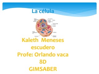 La célula



 Kaleth Meneses
     escudero
Profe: Orlando vaca
        8D
    GIMSABER
 