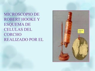 MICROSCOPIO DE
ROBERT HOOKE Y
ESQUEMA DE
CELULAS DEL
CORCHO
REALIZADO POR EL
 