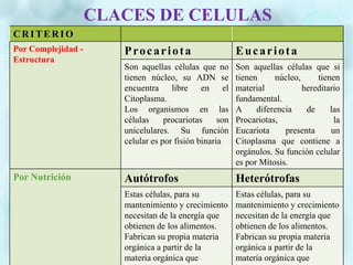 CLACES DE CELULAS
CRITERIO
Por Complejidad -
Estructura
Procariota Eucariota
Son aquellas células que no
tienen núcleo, su ADN se
encuentra libre en el
Citoplasma.
Los organismos en las
células procariotas son
unicelulares. Su función
celular es por fisión binaria
Son aquellas células que si
tienen núcleo, tienen
material hereditario
fundamental.
A diferencia de las
Procariotas, la
Eucariota presenta un
Citoplasma que contiene a
orgánulos. Su función celular
es por Mitosis.
Por Nutrición Autótrofos Heterótrofas
Estas células, para su
mantenimiento y crecimiento
necesitan de la energía que
obtienen de los alimentos.
Fabrican su propia materia
orgánica a partir de la
materia orgánica que
Estas células, para su
mantenimiento y crecimiento
necesitan de la energía que
obtienen de los alimentos.
Fabrican su propia materia
orgánica a partir de la
materia orgánica que
 