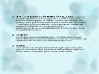  FUNCIÓN DE REPRODUCIÓN O DIVISIÓN CELULAR: Es la función por
el cual el protoplasma se divide en 2 o mas porciones. Las células Escaróticas y las
procarióticas auque muy pequeñas son complejas. Estas se dividen y dan origen a otras
células exactamente iguales mediante un proceso conocido como división celular o mitosis.
El objeto fundamental de la mitosis es conservar el mismo número de cromosomas y el
patrón genético de la célula a través de todas las generaciones.
las células pasan por 2 periodos: interface (de aparente no división) y otro de división que
tiene lugar por mitosis y meiosis.
 INTERFASE
Es el periodo de preparación de la célula para luego replicar la cromática y almacenar
sustancias de reserva que consumirá durante la división celular. Este proceso es el más largo
y puede durara horas, días, meses y años, dependiendo del tipo de célula.
 MITOSIS
Es el mecanismo de división celular propiamente dicho rápido, algunas células gastan
segundos o escasos minutos u horas en culminarlo. Constituye la segunda etapa del ciclo
celular y consta de 4 fases llamadas: profase, metafase, anafase y telofase
 