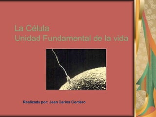 La Célula
Unidad Fundamental de la vida
Realizada por: Jean Carlos Cordero
 
