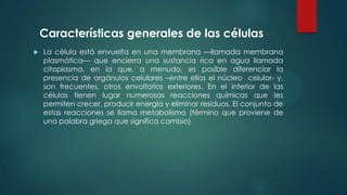  La célula está envuelta en una membrana —llamada membrana
plasmática— que encierra una sustancia rica en agua llamada
citoplasma, en la que, a menudo, es posible diferenciar la
presencia de orgánulos celulares –entre ellos el núcleo celular- y,
son frecuentes, otros envoltorios exteriores. En el interior de las
células tienen lugar numerosas reacciones químicas que les
permiten crecer, producir energía y eliminar residuos. El conjunto de
estas reacciones se llama metabolismo (término que proviene de
una palabra griega que significa cambio)
Características generales de las células
 