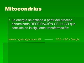 Mitocondrias
 La energía se obtiene a partir del proceso
denominado RESPIRACIÓN CELULAR que
consiste en la siguiente transformación:
Materia orgánica(glucosa) + O2 CO2 + H2O + Energía.
 