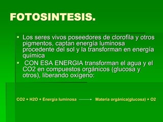 FOTOSINTESIS.
 Los seres vivos poseedores de clorofila y otros
pigmentos, captan energía luminosa
procedente del sol y la transforman en energía
química
 CON ESA ENERGIA transforman el agua y el
CO2 en compuestos orgánicos (glucosa y
otros), liberando oxígeno:
CO2 + H2O + Energía luminosa Materia orgánica(glucosa) + O2
 