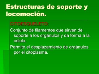 Estructuras de soporte y
locomoción.
CITOESQUELETO:
Conjunto de filamentos que sirven de
soporte a los orgánulos y da forma a la
célula.
Permite el desplazamiento de orgánulos
por el citoplasma.
 