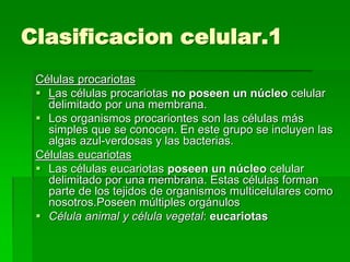 Clasificacion celular.1
Células procariotas
 Las células procariotas no poseen un núcleo celular
delimitado por una membrana.
 Los organismos procariontes son las células más
simples que se conocen. En este grupo se incluyen las
algas azul-verdosas y las bacterias.
Células eucariotas
 Las células eucariotas poseen un núcleo celular
delimitado por una membrana. Estas células forman
parte de los tejidos de organismos multicelulares como
nosotros.Poseen múltiples orgánulos
 Célula animal y célula vegetal: eucariotas
 