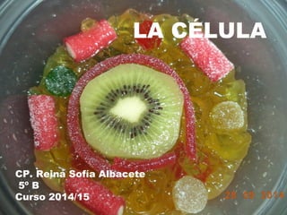 LA CÉLULA 
CP. Reina Sofía Albacete 
5º B 
Curso 2014/15 
 