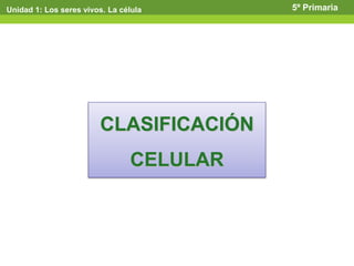 Unidad 1: Los seres vivos. La célula 5º Primaria
CLASIFICACIÓN
CELULAR
 