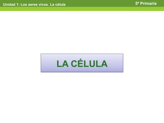 Unidad 1: Los seres vivos. La célula 5º Primaria
LA CÉLULA
 