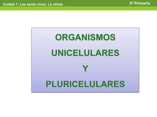 Unidad 1: Los seres vivos. La célula 5º Primaria
ORGANISMOS
UNICELULARES
Y
PLURICELULARES
 