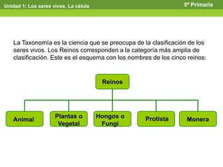 La Taxonomía es la ciencia que se preocupa de la clasificación de los
seres vivos. Los Reinos corresponden a la categoría más amplia de
clasificación. Este es el esquema con los nombres de los cinco reinos:
Reinos
MoneraProtistaHongos o
Fungi
Plantas o
Vegetal
Animal
Unidad 1: Los seres vivos. La célula 5º Primaria
 