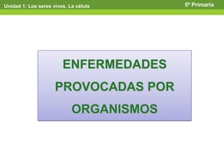 Unidad 1: Los seres vivos. La célula 5º Primaria
ENFERMEDADES
PROVOCADAS POR
ORGANISMOS
 