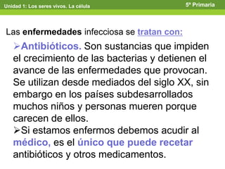 Unidad 1: Los seres vivos. La célula 5º Primaria
Las enfermedades infecciosa se tratan con:
Antibióticos. Son sustancias que impiden
el crecimiento de las bacterias y detienen el
avance de las enfermedades que provocan.
Se utilizan desde mediados del siglo XX, sin
embargo en los países subdesarrollados
muchos niños y personas mueren porque
carecen de ellos.
Si estamos enfermos debemos acudir al
médico, es el único que puede recetar
antibióticos y otros medicamentos.
 