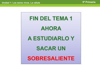 Unidad 1: Los seres vivos. La célula 5º Primaria
FIN DEL TEMA 1
AHORA
A ESTUDIARLO Y
SACAR UN
SOBRESALIENTE
 
