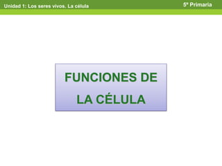Unidad 1: Los seres vivos. La célula 5º Primaria
FUNCIONES DE
LA CÉLULA
 