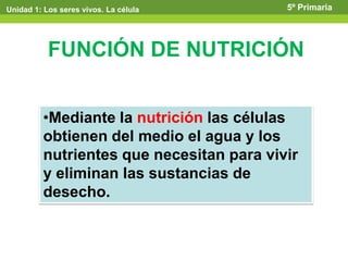 FUNCIÓN DE NUTRICIÓN
•Mediante la nutrición las células
obtienen del medio el agua y los
nutrientes que necesitan para vivir
y eliminan las sustancias de
desecho.
Unidad 1: Los seres vivos. La célula 5º Primaria
 