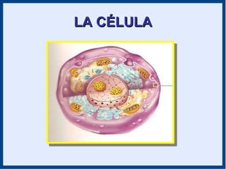 LA CÉLULALA CÉLULA
 