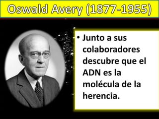 • Junto a sus
colaboradores
descubre que el
ADN es la
molécula de la
herencia.
 