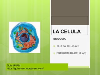 LA CELULA
BIOLOGIA
 TEORIA CELULAR
 ESTRUCTURA CELULAR
Guía UNAM
https://guiaunam.wordpress.com/
 