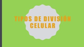TIPOS DE DIVISIÓN
CELULAR
 