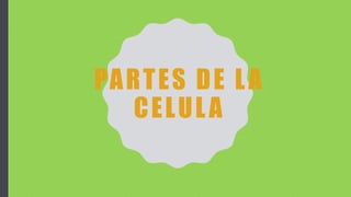 PARTES DE LA
CELULA
 
