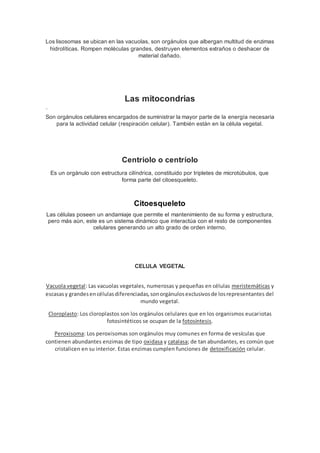 Los lisosomas se ubican en las vacuolas, son orgánulos que albergan multitud de enzimas
hidrolíticas. Rompen moléculas grandes, destruyen elementos extraños o deshacer de
material dañado.
Las mitocondrias
LAslllas
Son orgánulos celulares encargados de suministrar la mayor parte de la energía necesaria
para la actividad celular (respiración celular). También están en la célula vegetal.
Centriolo o centríolo
Es un orgánulo con estructura cilíndrica, constituido por tripletes de microtúbulos, que
forma parte del citoesqueleto.
Citoesqueleto
Las células poseen un andamiaje que permite el mantenimiento de su forma y estructura,
pero más aún, este es un sistema dinámico que interactúa con el resto de componentes
celulares generando un alto grado de orden interno.
CELULA VEGETAL
Vacuola vegetal: Las vacuolas vegetales, numerosas y pequeñas en células meristemáticas y
escasasy grandesencélulasdiferenciadas,sonorgánulosexclusivosde losrepresentantes del
mundo vegetal.
Cloroplasto: Los cloroplastos son los orgánulos celulares que en los organismos eucariotas
fotosintéticos se ocupan de la fotosíntesis.
Peroxisoma: Los peroxisomas son orgánulos muy comunes en forma de vesículas que
contienen abundantes enzimas de tipo oxidasa y catalasa; de tan abundantes, es común que
cristalicen en su interior. Estas enzimas cumplen funciones de detoxificación celular.
 