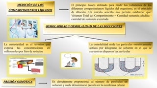 El principio básico utilizado para medir los volúmenes de los
diferentes compartimientos líquidos del organismo, es el principio
de dilución. Un cálculo sencillo nos permite establecer que:
Volumen Total del Compartimiento = Cantidad sustancia añadida -
cantidad de sustancia excretada
La osmolalidad mide las partículas osmóticamente
activas por kilogramo de solvente en el que se
encuentran dispersas las partículas
La osmolaridad es el término que
expresa las concentraciones en
miliosmoles por litro de solución
Es directamente proporcional al número de partículas en
solución y suele denominarse presión en la membrana celular
 