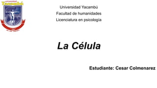 La Célula
Universidad Yacambú
Facultad de humanidades
Licenciatura en psicología
Estudiante: Cesar Colmenarez
 